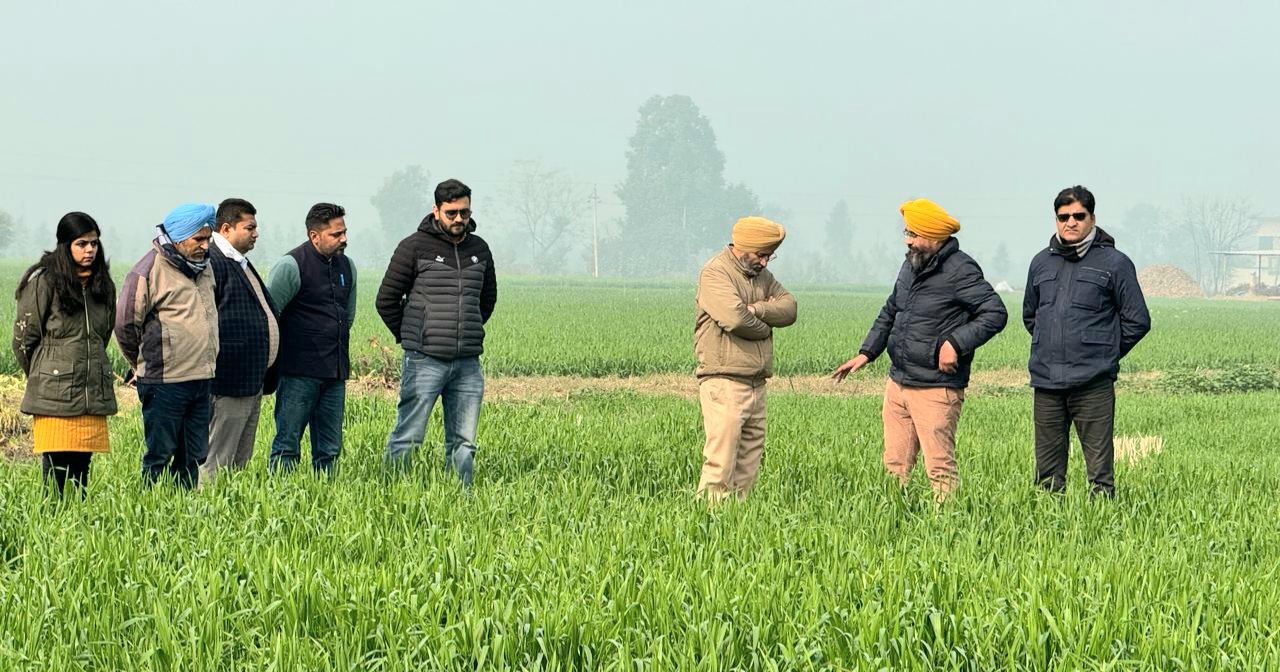 A visit to wheat fields with surface seeder machine technology for stubble conservation